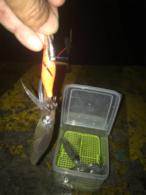 雨の中渋いヒイカ釣り(＞＜)