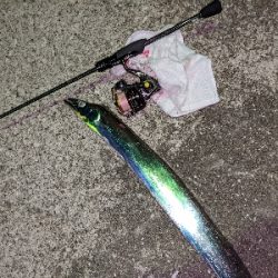 南房総 タチング