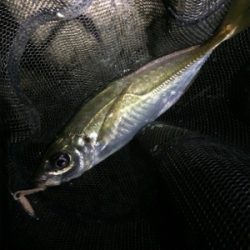 久しぶりの短時間決戦