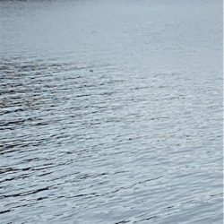 今年の釣り納め