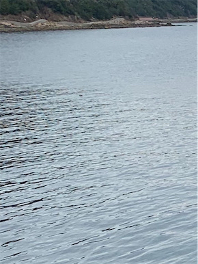 今年の釣り納め