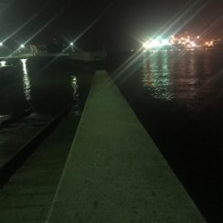 別府港と飾磨港のハシゴでもヒイカ、イマイチ(><)