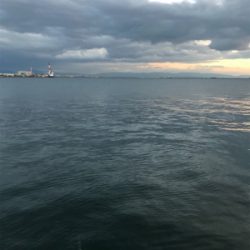 タチウオ、大サバ不発