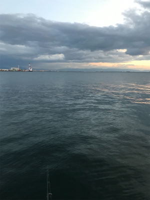 タチウオ、大サバ不発