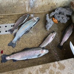 上永野フィシングリゾート