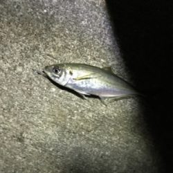 最低限のマナーを守って!