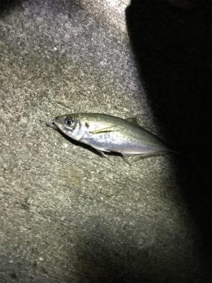 最低限のマナーを守って!