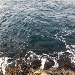 寒グレ狙いで磯フカセ釣り