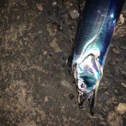 何とか、居てました。