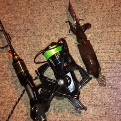 極寒のヒイカ釣り☆GUNNING-STYLE