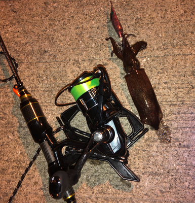 極寒のヒイカ釣り☆GUNNING-STYL…