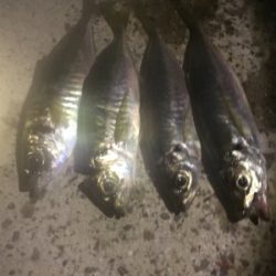 ウルトラライトショアジギング