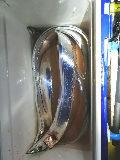 まだイケる‼️…