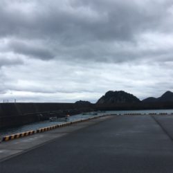 ライトショアジギング