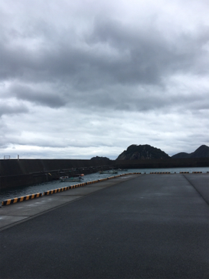 ライトショアジギング