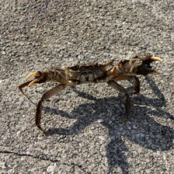 思ってたんとちゃう…