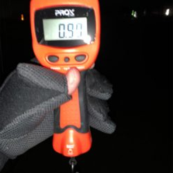 凪の間のドラゴンハント