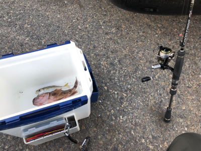 激シブアジング