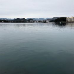 イケイケ冬イカは。。どこに