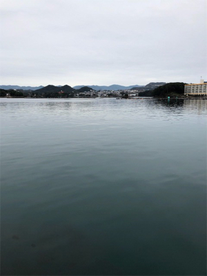 イケイケ冬イカは。。どこに