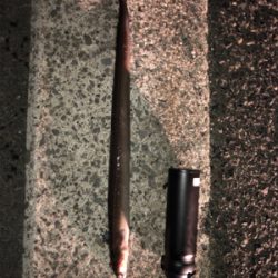 冬の夜はアナゴ釣りで楽しもう！