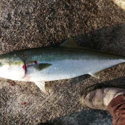 今年の締めにふさわしく！