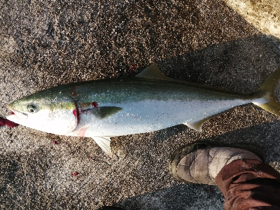今年の締めにふさわしく！