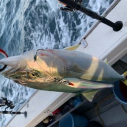 丹後沖ジギング