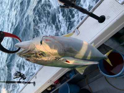 丹後沖ジギング