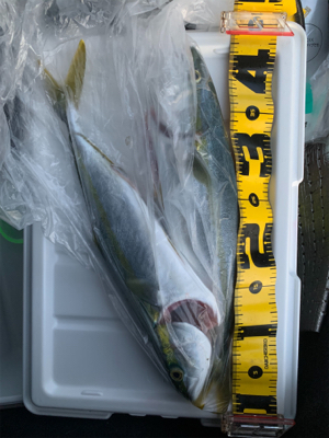 なんとか釣れたが一瞬の時合