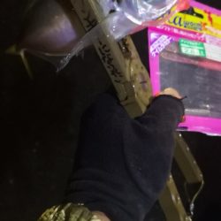 アジング練習 85