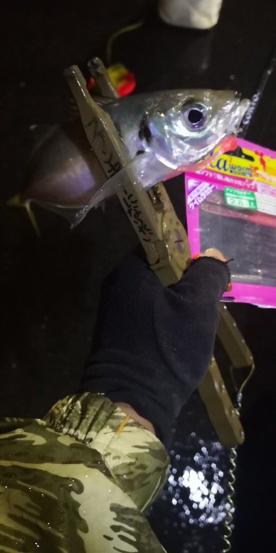 アジング練習 85