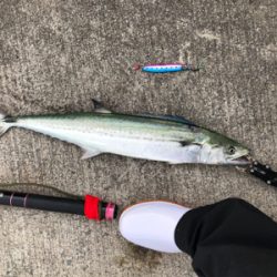 西風が少し強い中でのジギング!