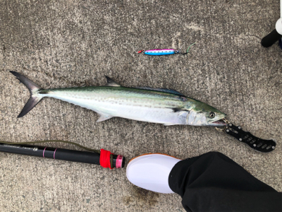 西風が少し強い中でのジギング!