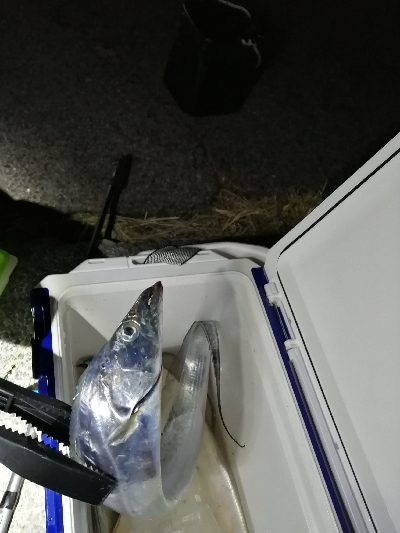 かなり厳しくなってきました