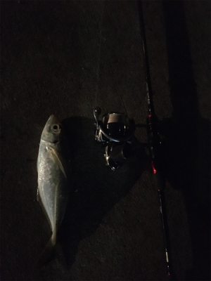 アジングまずまず