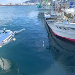 釣り納めは大爆釣！