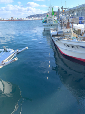釣り納めは大爆釣！