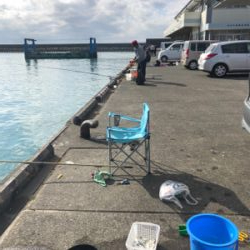 コハダ大漁!おまけに…