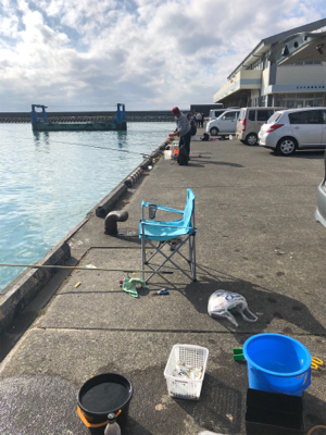 コハダ大漁!おまけに…