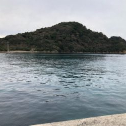 冬アオリまだまだ釣れます!