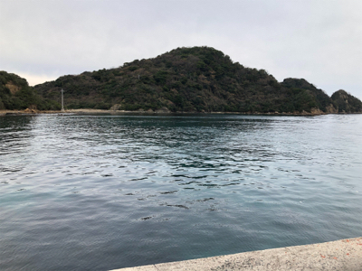 冬アオリまだまだ釣れます!