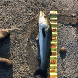 久しぶりの釣り