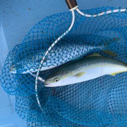 当たり1面湧いた