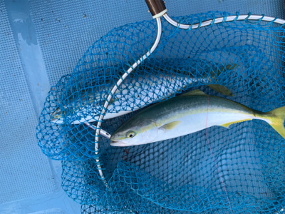 当たり1面湧いた