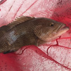 釣り納めでホエールウォッチング！