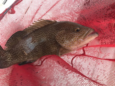 釣り納めでホエールウォッチング！