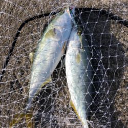 今年最後の釣り