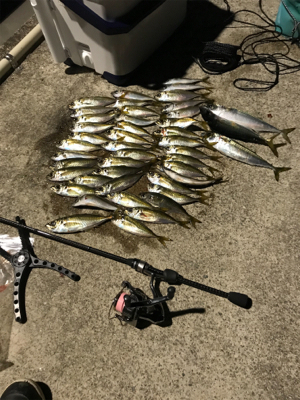 NEWロッドアジング