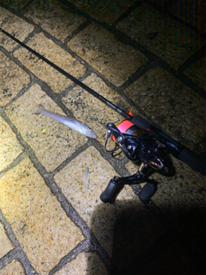 久々の富山釣行…激渋